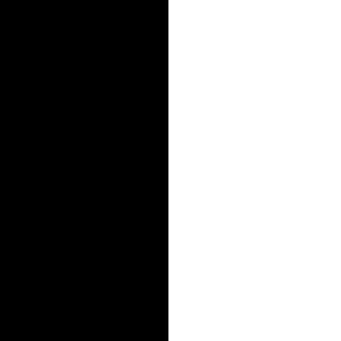 Black + White