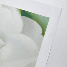 Indlæs billede til gallerivisning Georgia O&#39;Keeffe, 2008
