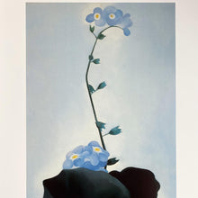 Indlæs billede til gallerivisning Georgia O&#39;Keeffe, 1997
