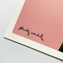 Indlæs billede til gallerivisning Andy Warhol, 1980s (Pink)
