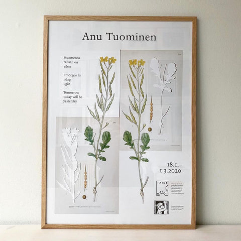 Anu Tuominen